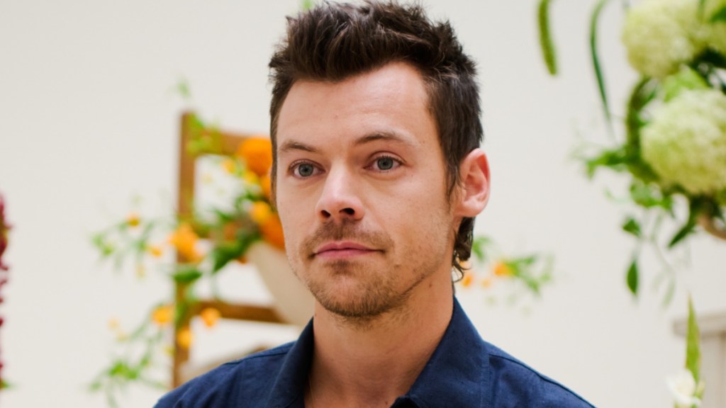 Harry Styles’ Berlin Marathon Time Wows as He Gets Sub-3 as ‘Sted Sarandos'