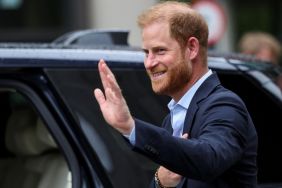 Prince Harry's New Interview Has Left the Royal Family Livid, Says Source