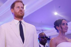 Author Holds Prince Harry & Meghan Markle Responsible for Damage Caused to Monarchy
