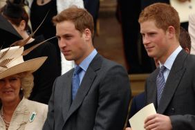 Prince Harry & Prince William Named Their Stepmom 'Witch of the West,' Book Claims
