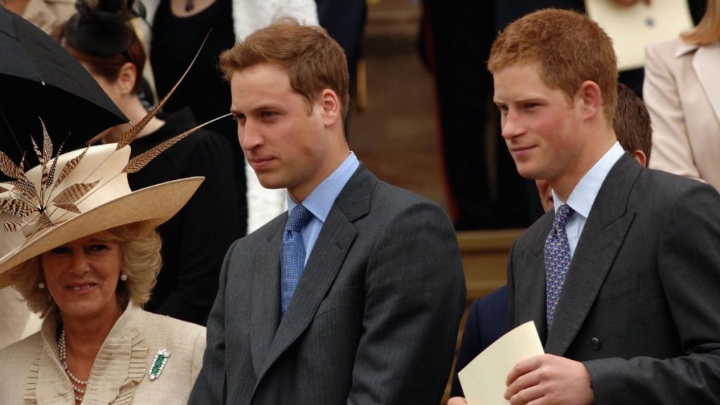 Prince Harry & Prince William Named Their Stepmom 'Witch of the West,' Book Claims