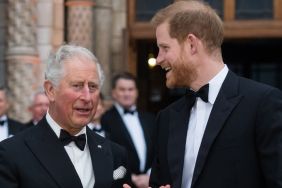 Prince Harry & King Charles' Reconciliation Efforts Face Obstacles From Royal Officials, Claims Source