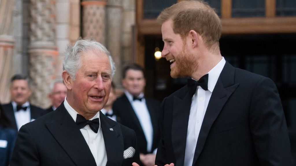 Prince Harry & King Charles' Reconciliation Efforts Face Obstacles From Royal Officials, Claims Source