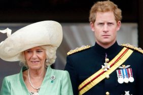 'Scarred' Queen Camilla Not Ready to Embrace Prince Harry's Reconciliation Efforts, Says Source