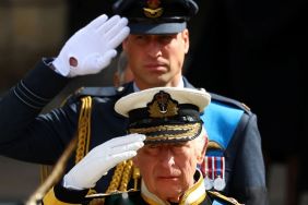 No Genuine Feelings Involved in Prince William & King Charles' Break Together, Say Sources