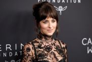 Dakota Johnson’s Eye-Popping Sheer Dress Demands a Double Take