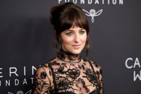 Dakota Johnson’s Eye-Popping Sheer Dress Demands a Double Take