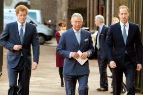 Prince Harry & King Charles Reunion Risks Prince William’s ‘Authority as Heir,’ Source Claims