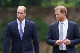 Prince Harry’s Memoir Defense Widening Existing Feud With Prince William, Source Claims