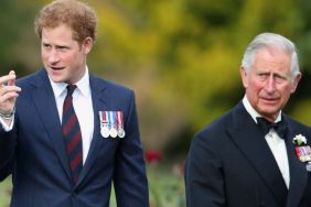 Having Prince Harry Around Is a 'Draining Distraction' for King Charles, Says Author