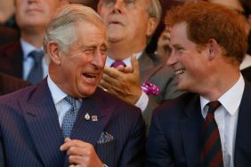 King Charles & Prince Harry Reunion Won't About 'Grand Gestures,' Says Source