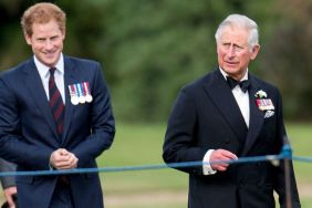 King Charles Relied on Family Member During Prince Harry Reunion, Source Says