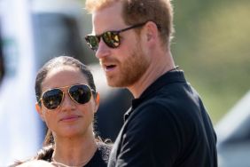 Meghan Markle Upset Harry Didn’t Mention Her Netflix Show, Source Says