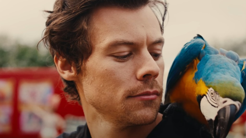 harry styles secret life sir dick