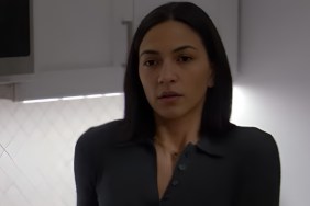 natalee linez FBI CIA Spin-off Series
