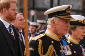 Princ Harry king Charles UK renuion