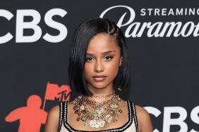Tyla Strikes a Pose in Pink Silk Robe and Fans Are Loving It