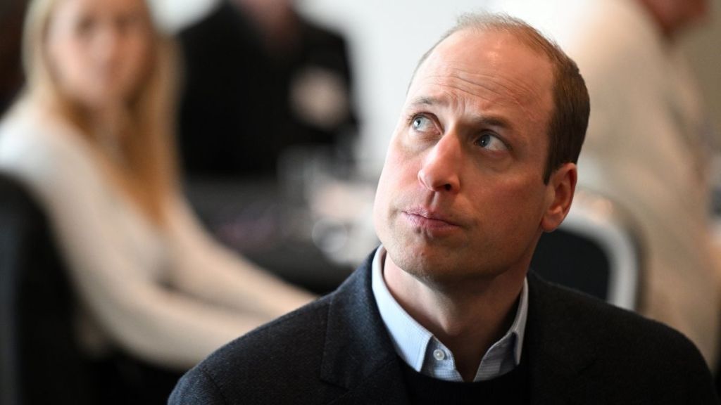 Prince William's Plans to 'Modernize the Monarchy' Are Seen As a Risk by Senior Royals, Says Insider