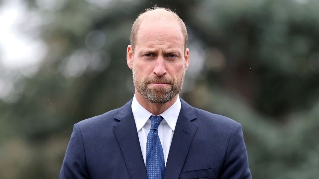 Prince William's Next Target in the 'Slim Down Monarchy' Is Clear — Source