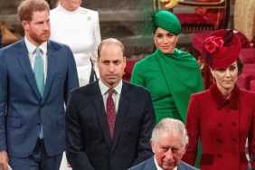 Meghan Markle Has Reacted Coolly to Royal Family's New Reunion Idea, Says Source