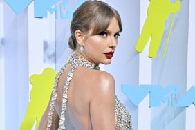 Fans Have Mixed Reactions to Taylor Swift's Photo in a Minidress