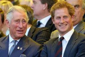 Prince Harry's Recent PR Stunt Has the Palace Fuming for a Reason, Says Source