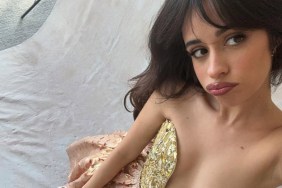 Camila Cabello Is 'Literal Princess' in Strapless Dress