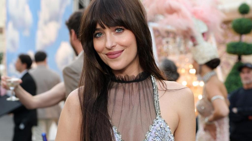 Dakota Johnson's Semi-Sheer Dress Will Make You Look Twice