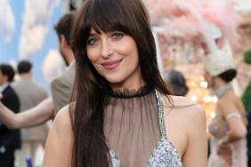 Dakota Johnson's Semi-Sheer Dress Will Make You Look Twice