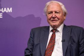 David Attenborough's Involvement in Multiple New BBC Projects Revealed