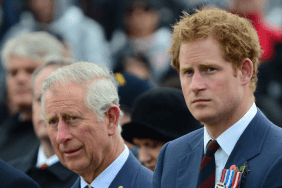 Palace Aides Think King Charles Making a ‘Colossal Mistake’ With Prince Harry Reunion, Source Claims