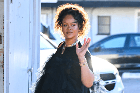 Rihanna Showcases Her Pregnant Belly in Red Hot Bra