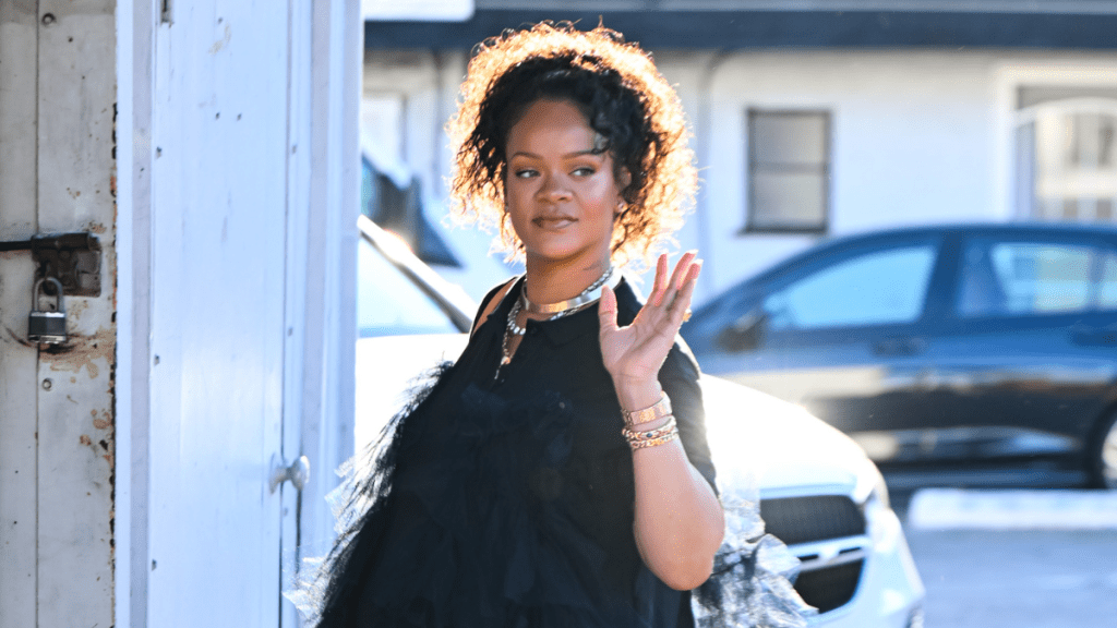 Rihanna Showcases Her Pregnant Belly in Red Hot Bra