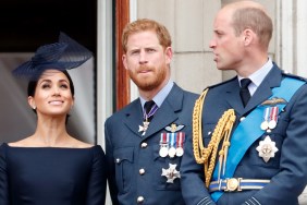 prince william harry meghan