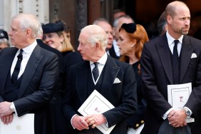 prince andrew king charles