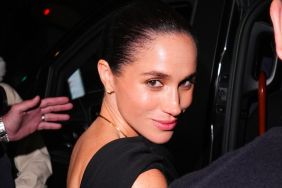 Meghan Markle's Blender Holding Skill Has Royals Mocking Her, Says Source