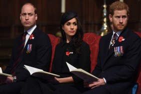 prince harry meghan markle