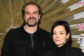 Lily Allen Calls Breakup 'F***ing Brutal' Amid David Harbour Split