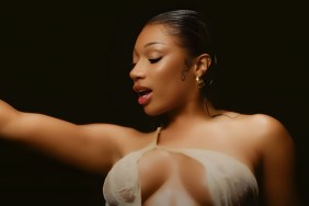 Megan Thee Stallion Wows Fans in Wet Look: 'Klay Hit the Jackpot'