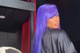 Megan Thee Stallion Twerking in Bathrobe Has Internet in Chokehold