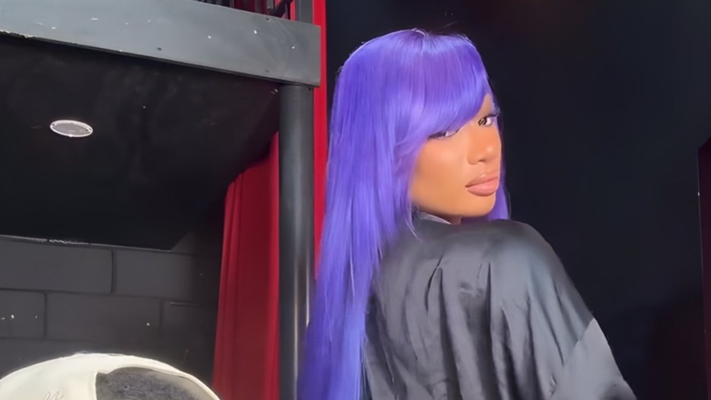 Megan Thee Stallion Twerking in Bathrobe Has Internet in Chokehold