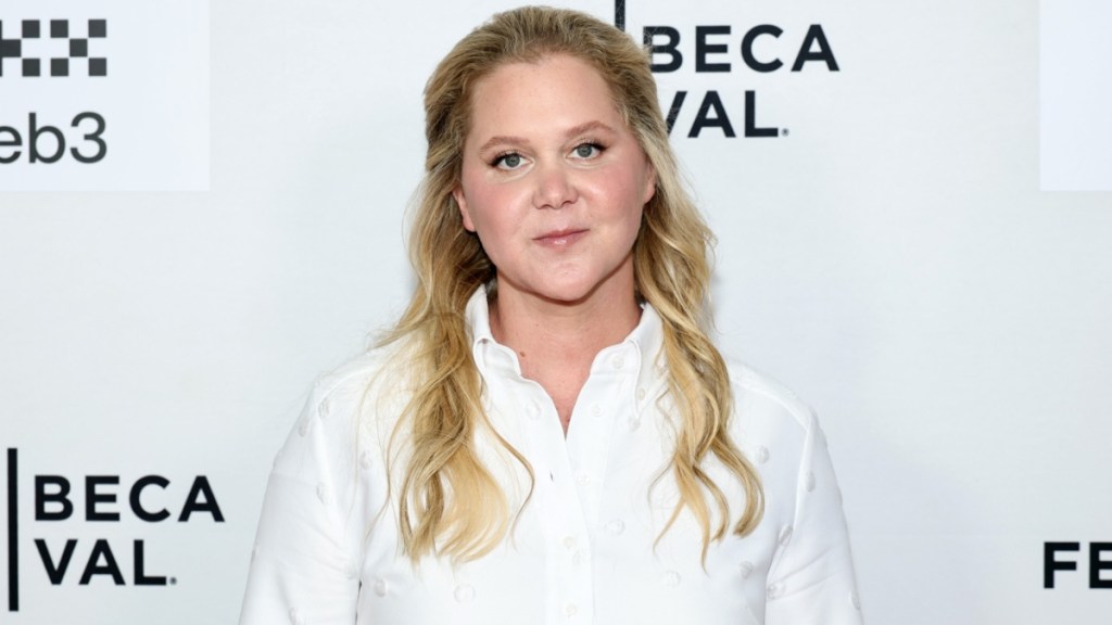 Amy Schumer Debuts Weight Loss Transformation, RHONJ Alum Says 'Legs For Days'