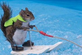 Water-Skiing Squirrel Twiggy Is the Main Event at Carolina Classic Fair
