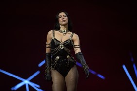 Dua Lipa's Security Slaps Away Fan's Hand as It Inches Toward Her Butt