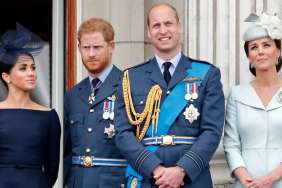 Prince Harry & Meghan Markle, Prince Williams (