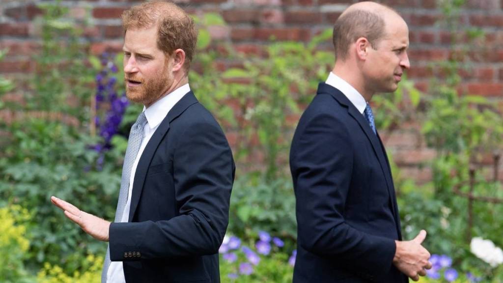 Prince Harry, Prince William