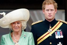 Queen Camilla, Prince Harry