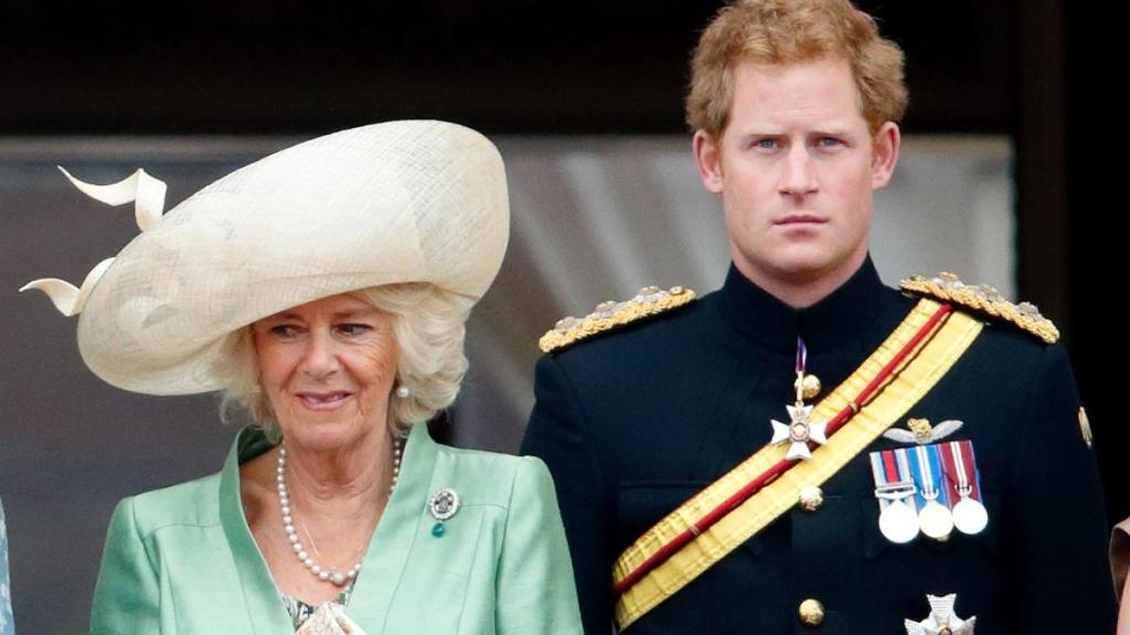 Queen Camilla, Prince Harry