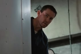 Roofman rotten tomatoes reviews