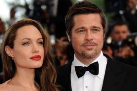 Angelina Jolie Hoped Giving Brad Pitt Control Over Properties Would ‘Calm’ Him in Legal Battle — Report
